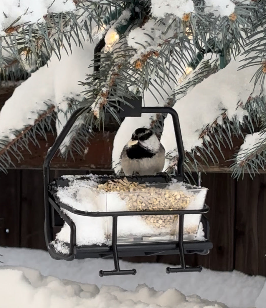 Miniature Modern Ski Lift Chair